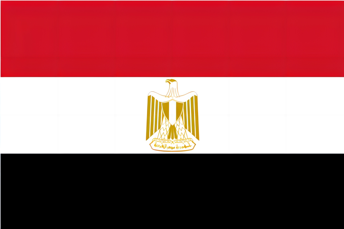 Egypt COI